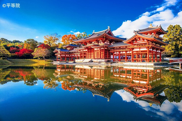 Kyoto och Nara-tur med antika tempel, vänliga hjortar och en matcha-teceremoni, foto 36 | wizardtrip