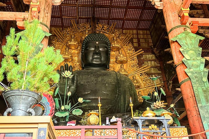 Kyoto och Nara-tur med antika tempel, vänliga hjortar och en matcha-teceremoni, foto 37 | wizardtrip