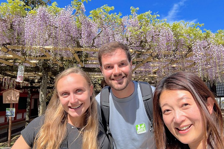 Kyoto och Nara-tur med antika tempel, vänliga hjortar och en matcha-teceremoni, foto 40 | wizardtrip