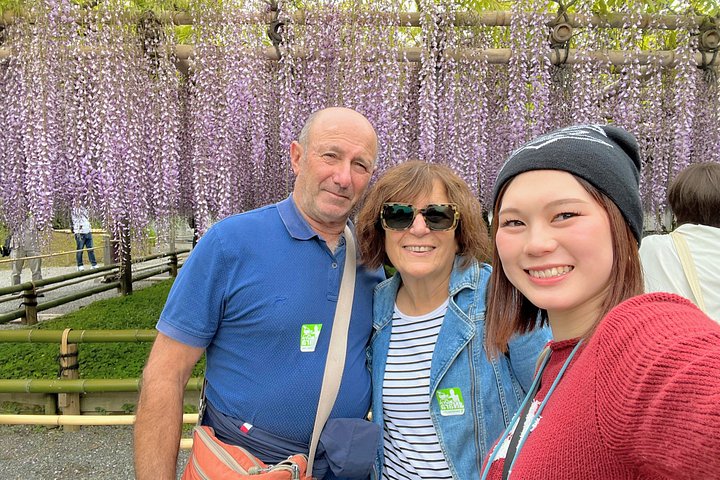 Kyoto och Nara-tur med antika tempel, vänliga hjortar och en matcha-teceremoni, foto 41 | wizardtrip