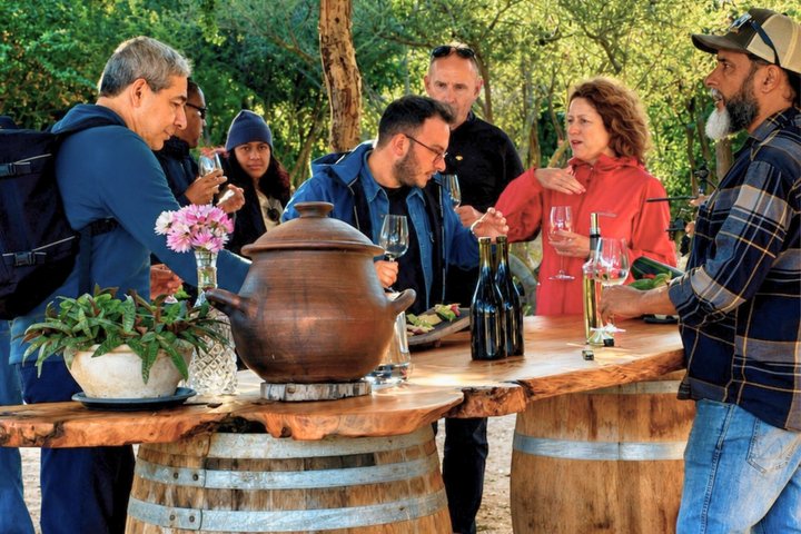 4 Exclusieve & Boetiek Wijnhuizen in Casablanca Vallei met Tanino Restaurant Lunch | wizardtrip