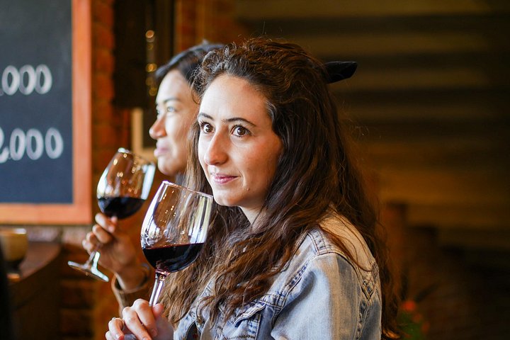 Tour de degustação de vinhos no Vale de Casablanca, Chile, visitando vinícolas boutique e apreciando paisagens de vinhedos, foto 7 | wizardtrip