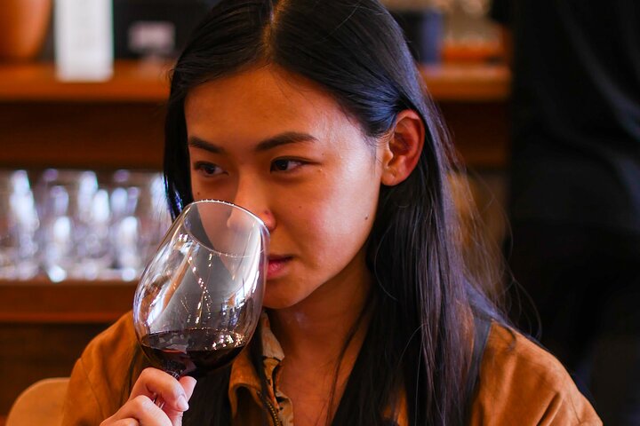 Tour de degustação de vinhos no Vale de Casablanca, Chile, visitando vinícolas boutique e apreciando paisagens de vinhedos, foto 10 | wizardtrip