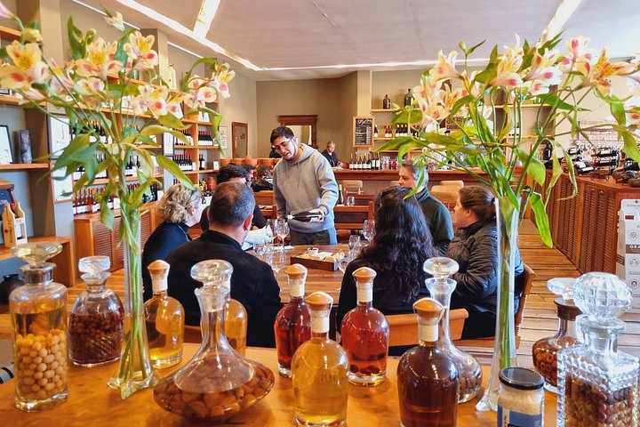 Tour de degustação de vinhos no Vale de Casablanca, Chile, visitando vinícolas boutique e apreciando paisagens de vinhedos, foto 11 | wizardtrip