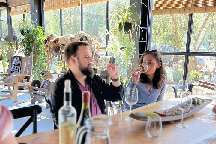 Tour de degustação de vinhos no Vale de Casablanca, Chile, visitando vinícolas boutique e apreciando paisagens de vinhedos, foto 19 | wizardtrip