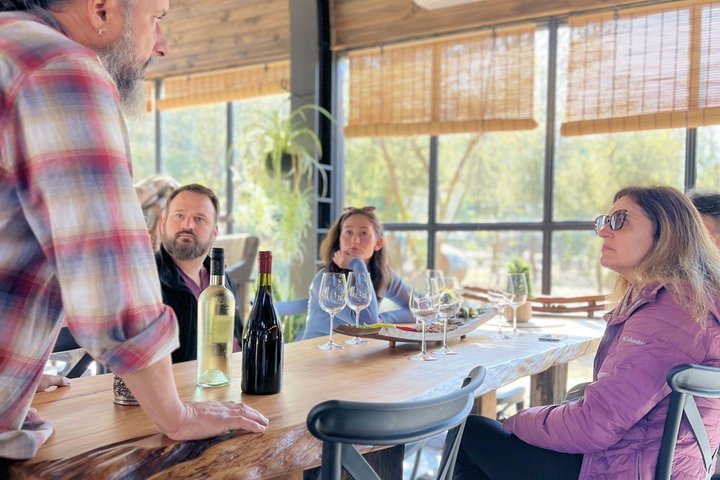 Tour de degustação de vinhos no Vale de Casablanca, Chile, visitando vinícolas boutique e apreciando paisagens de vinhedos, foto 20 | wizardtrip