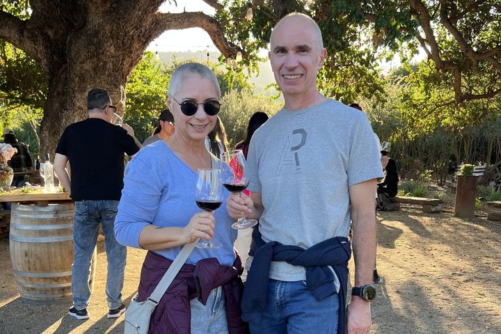 Tour de degustação de vinhos no Vale de Casablanca, Chile, visitando vinícolas boutique e apreciando paisagens de vinhedos, foto 22 | wizardtrip
