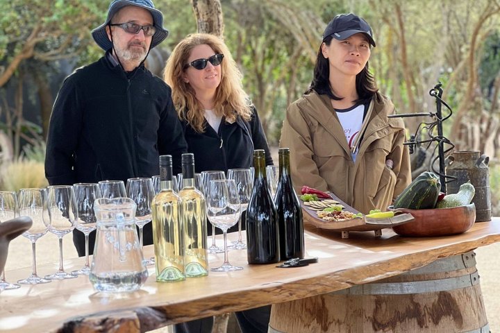 Tour de degustação de vinhos no Vale de Casablanca, Chile, visitando vinícolas boutique e apreciando paisagens de vinhedos, foto 23 | wizardtrip