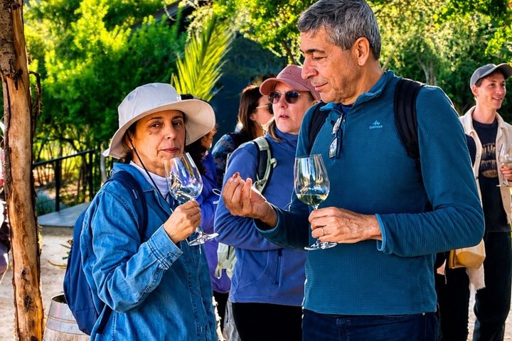 Tour de degustação de vinhos no Vale de Casablanca, Chile, visitando vinícolas boutique e apreciando paisagens de vinhedos, foto 24 | wizardtrip