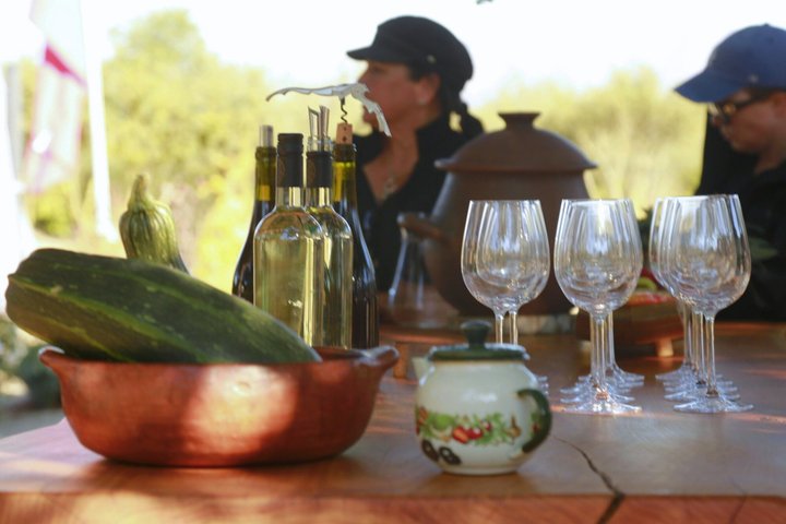 Tour de degustação de vinhos no Vale de Casablanca, Chile, visitando vinícolas boutique e apreciando paisagens de vinhedos, foto 25 | wizardtrip