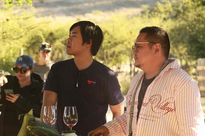 Tour de degustação de vinhos no Vale de Casablanca, Chile, visitando vinícolas boutique e apreciando paisagens de vinhedos, foto 26 | wizardtrip