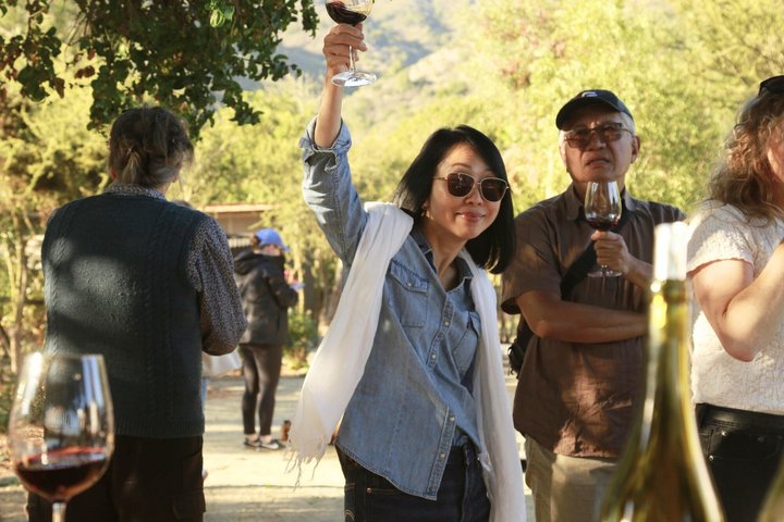 Tour de degustação de vinhos no Vale de Casablanca, Chile, visitando vinícolas boutique e apreciando paisagens de vinhedos, foto 27 | wizardtrip