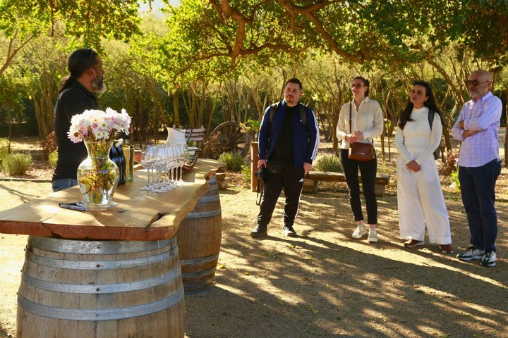Tour de degustação de vinhos no Vale de Casablanca, Chile, visitando vinícolas boutique e apreciando paisagens de vinhedos, foto 28 | wizardtrip