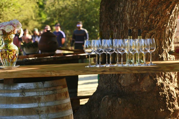 Tour de degustação de vinhos no Vale de Casablanca, Chile, visitando vinícolas boutique e apreciando paisagens de vinhedos, foto 30 | wizardtrip