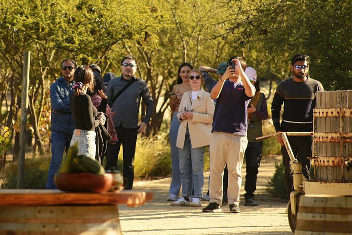 Tour de degustação de vinhos no Vale de Casablanca, Chile, visitando vinícolas boutique e apreciando paisagens de vinhedos, foto 32 | wizardtrip