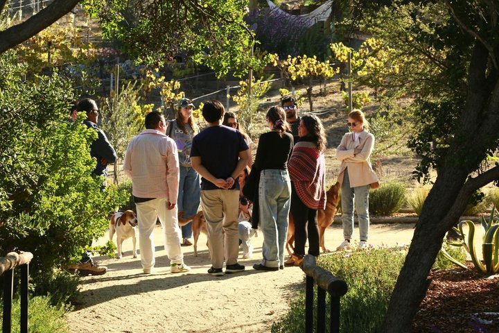 Tour de degustação de vinhos no Vale de Casablanca, Chile, visitando vinícolas boutique e apreciando paisagens de vinhedos, foto 33 | wizardtrip