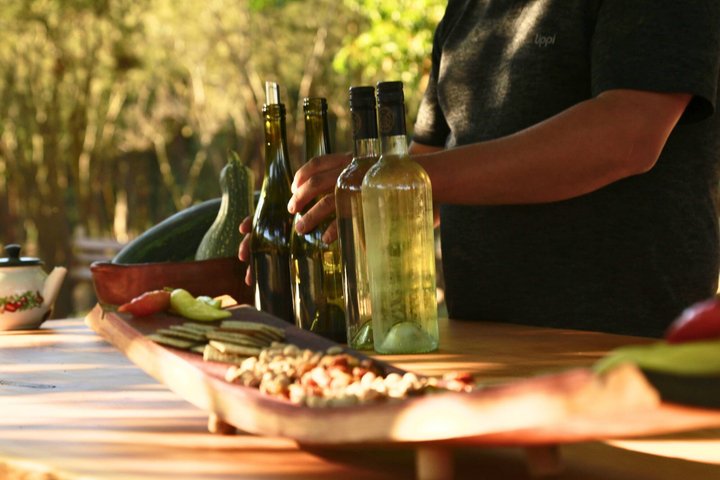Tour de degustação de vinhos no Vale de Casablanca, Chile, visitando vinícolas boutique e apreciando paisagens de vinhedos, foto 34 | wizardtrip