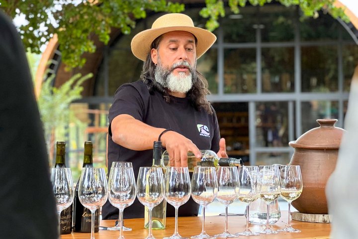 Tour de degustação de vinhos no Vale de Casablanca, Chile, visitando vinícolas boutique e apreciando paisagens de vinhedos, foto 36 | wizardtrip