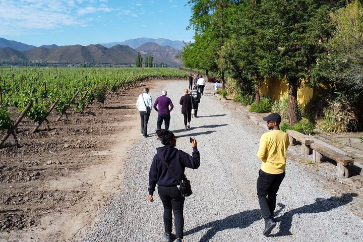 Tour door het Andesgebergte vanuit Santiago met bezoek aan wijngaard en Laguna del Inca, foto 12 | wizardtrip
