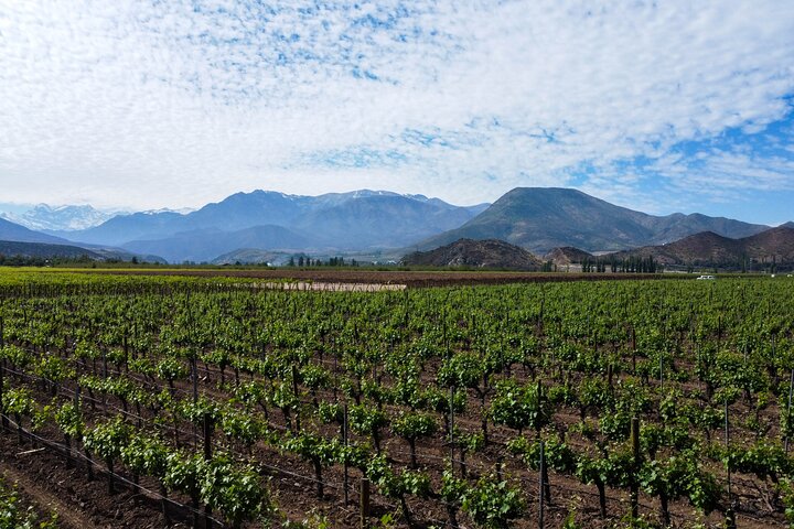 Tour door het Andesgebergte vanuit Santiago met bezoek aan wijngaard en Laguna del Inca, foto 13 | wizardtrip