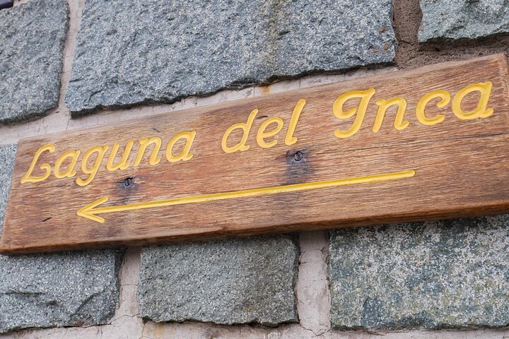 Tour door het Andesgebergte vanuit Santiago met bezoek aan wijngaard en Laguna del Inca, foto 45 | wizardtrip