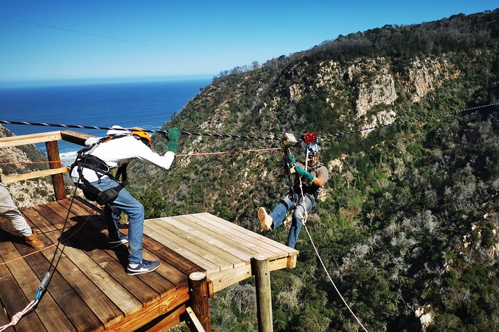 Knysna Ziplines Tour | wizardtrip