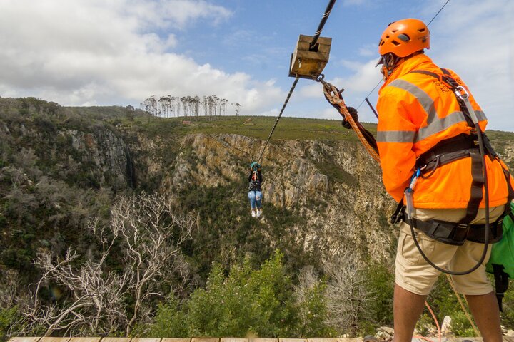 Oplev spændende ziplines over en naturskøn kløft i Plettenberg Bay, Sydafrika, foto 7 | wizardtrip
