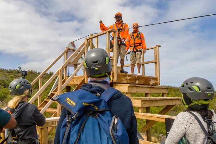 Oplev spændende ziplines over en naturskøn kløft i Plettenberg Bay, Sydafrika, foto 10 | wizardtrip