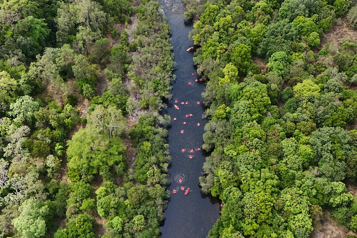 Aventura de Tubing en el Río de la Selva Tropical de Cairns | wizardtrip
