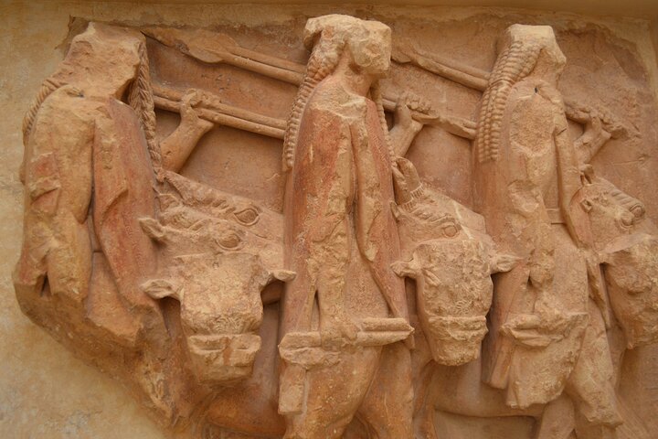 アテネ発の日帰りガイドツアーで、古代デルフィと絵のように美しいアラクォヴァを探索しましょう、写真12 | wizardtrip