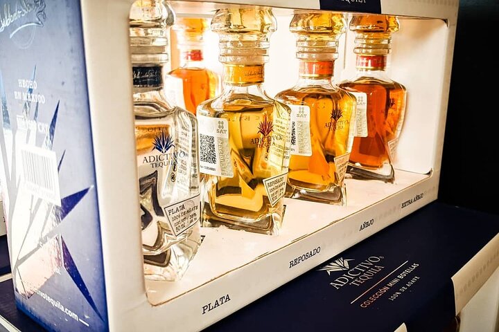 Degustación de tequila y mezcal con maridajes en un entorno boutique en Cabo San Lucas, foto 7 | wizardtrip