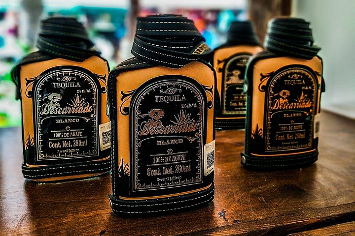 Degustación de tequila y mezcal con maridajes en un entorno boutique en Cabo San Lucas, foto 8 | wizardtrip