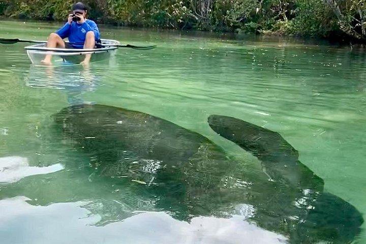 Klar Kajak Touren in Weeki Wachee | wizardtrip