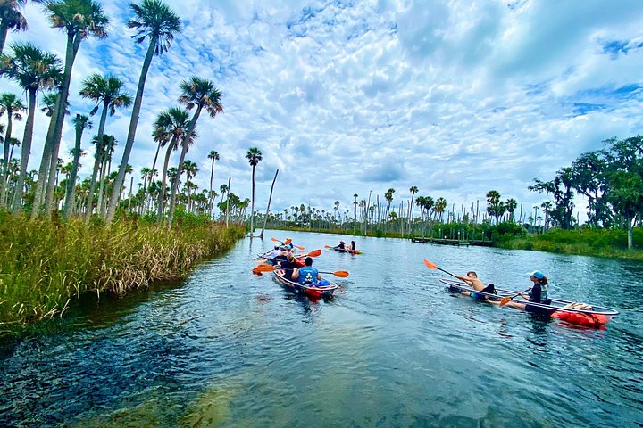 Klar kajaktur i Weeki Wachee, Florida, med dyreliv og naturskønne flodudsigter, foto 7 | wizardtrip