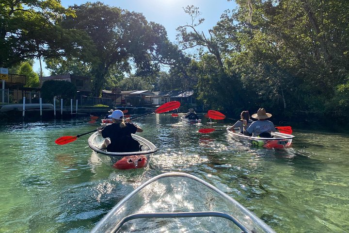 Klar kajaktur i Weeki Wachee, Florida, med dyreliv og naturskønne flodudsigter, foto 8 | wizardtrip