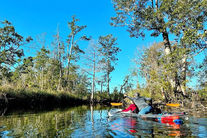 Klar kajaktur i Weeki Wachee, Florida, med dyreliv og naturskønne flodudsigter, foto 10 | wizardtrip