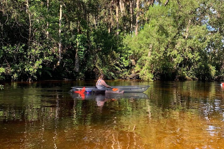 Klar kajaktur i Weeki Wachee, Florida, med dyreliv og naturskønne flodudsigter, foto 11 | wizardtrip