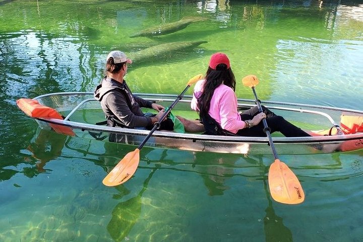 Klar kajaktur i Weeki Wachee, Florida, med dyreliv og naturskønne flodudsigter, foto 13 | wizardtrip