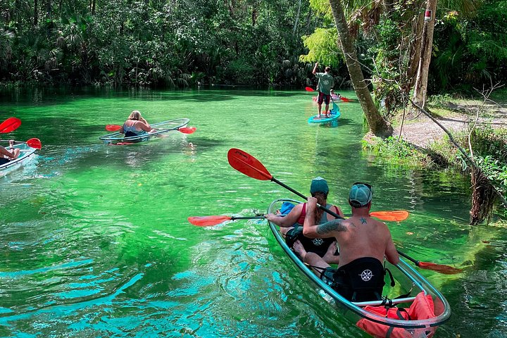 Klar kajaktur i Weeki Wachee, Florida, med dyreliv og naturskønne flodudsigter, foto 14 | wizardtrip