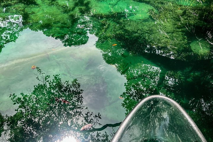 Klar kajaktur i Weeki Wachee, Florida, med dyreliv og naturskønne flodudsigter, foto 15 | wizardtrip