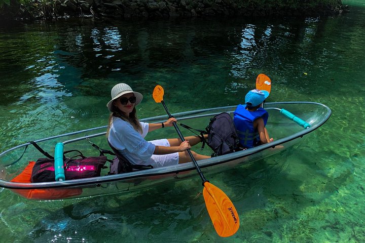 Klar kajaktur i Weeki Wachee, Florida, med dyreliv og naturskønne flodudsigter, foto 19 | wizardtrip