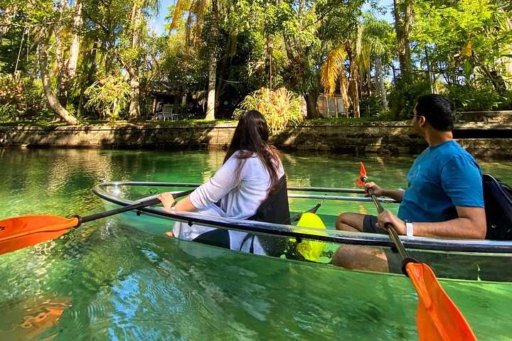 Klar kajaktur i Weeki Wachee, Florida, med dyreliv og naturskønne flodudsigter, foto 22 | wizardtrip