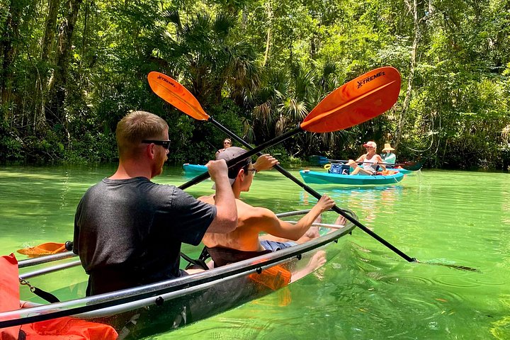 Klar kajaktur i Weeki Wachee, Florida, med dyreliv og naturskønne flodudsigter, foto 23 | wizardtrip