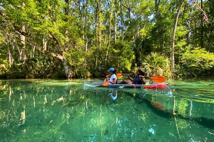 Klar kajaktur i Weeki Wachee, Florida, med dyreliv og naturskønne flodudsigter, foto 24 | wizardtrip