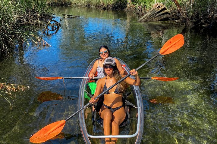 Klar kajaktur i Weeki Wachee, Florida, med dyreliv og naturskønne flodudsigter, foto 25 | wizardtrip