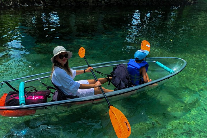 Klar kajaktur i Weeki Wachee, Florida, med dyreliv og naturskønne flodudsigter, foto 26 | wizardtrip