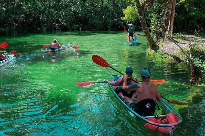 Klar kajaktur i Weeki Wachee, Florida, med dyreliv og naturskønne flodudsigter, foto 27 | wizardtrip
