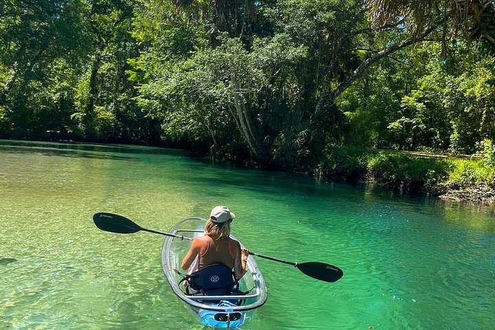Klar kajaktur i Weeki Wachee, Florida, med dyreliv og naturskønne flodudsigter, foto 28 | wizardtrip