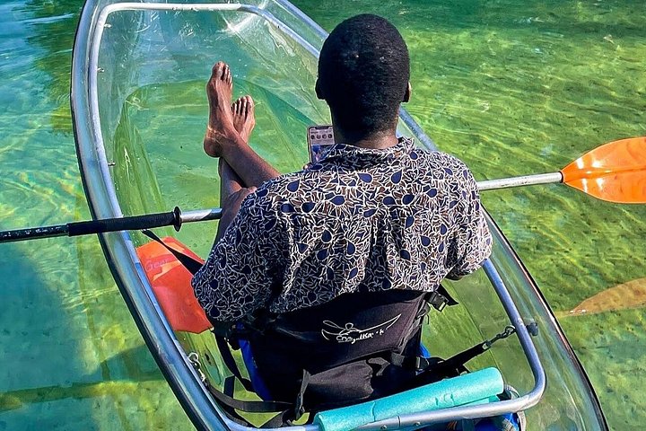 Klar kajaktur i Weeki Wachee, Florida, med dyreliv og naturskønne flodudsigter, foto 30 | wizardtrip