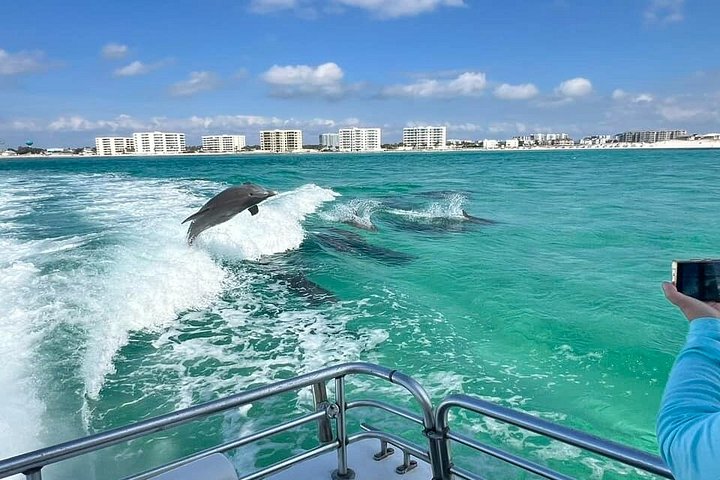 Geniet van een schilderachtige dolfijn- en zonsondergangscruise in Destin, Florida, met rondleidingen en prachtige kustgezichten, foto 6 | wizardtrip